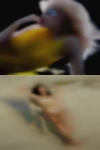 Texas chubby encounters